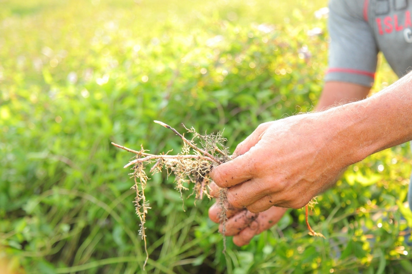 Creating Better Moments: A Fresh Look at Mint