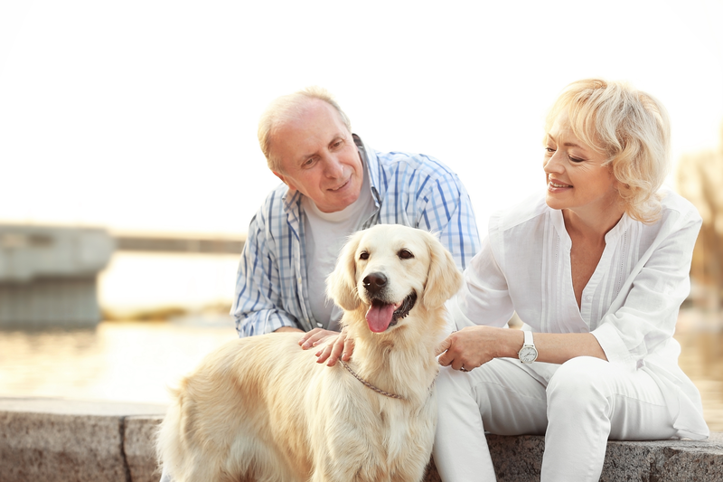 Mars Petcare & GSA Partner To Make Pets A Part Of The Conversation For Older Adults