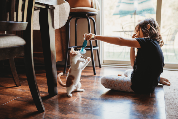 A child playing with a kitten