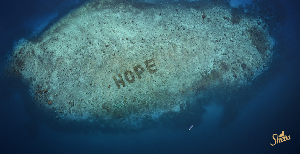 Hope for coral reefs and a more sustainable future