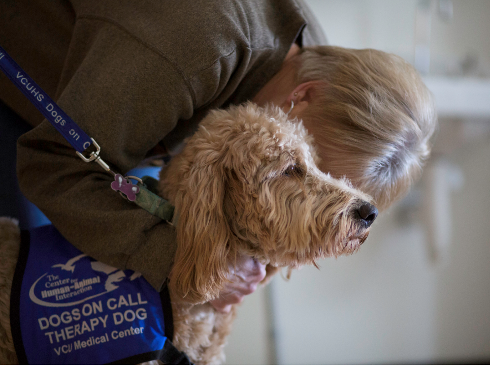 : Dog therapy might help ease loneliness in aging adults