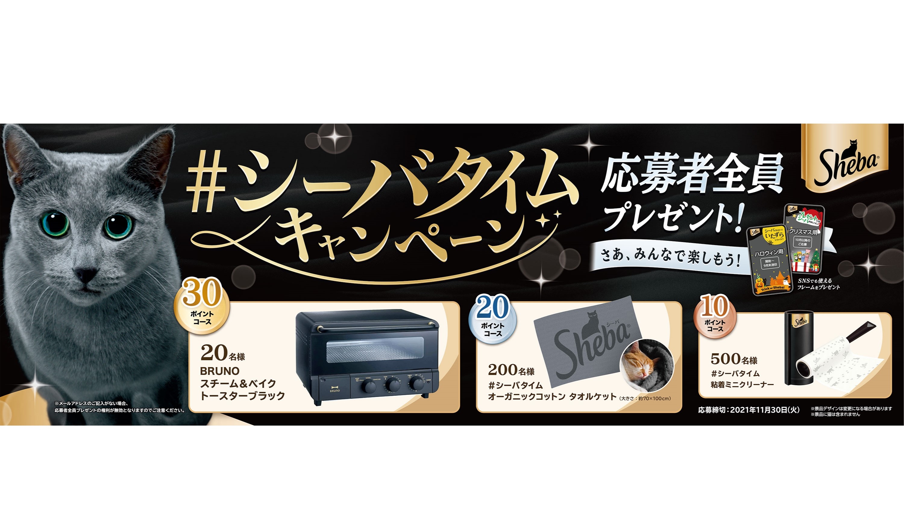 Sheba Champagne Main Image