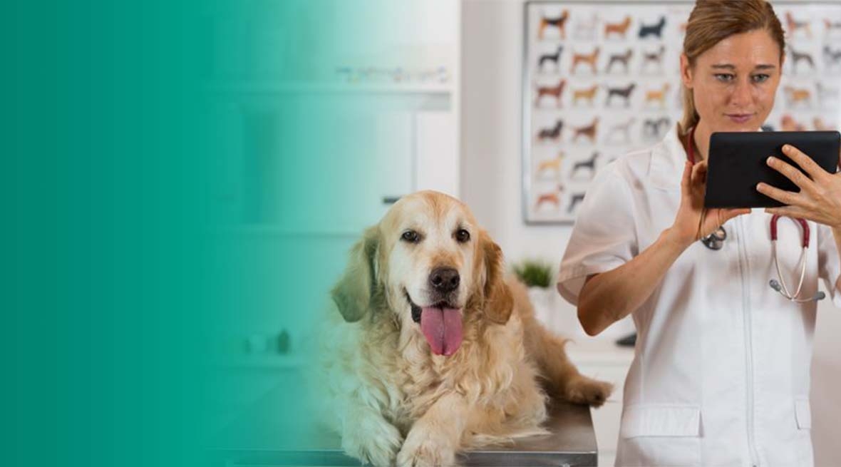 The female community is at a tipping point.