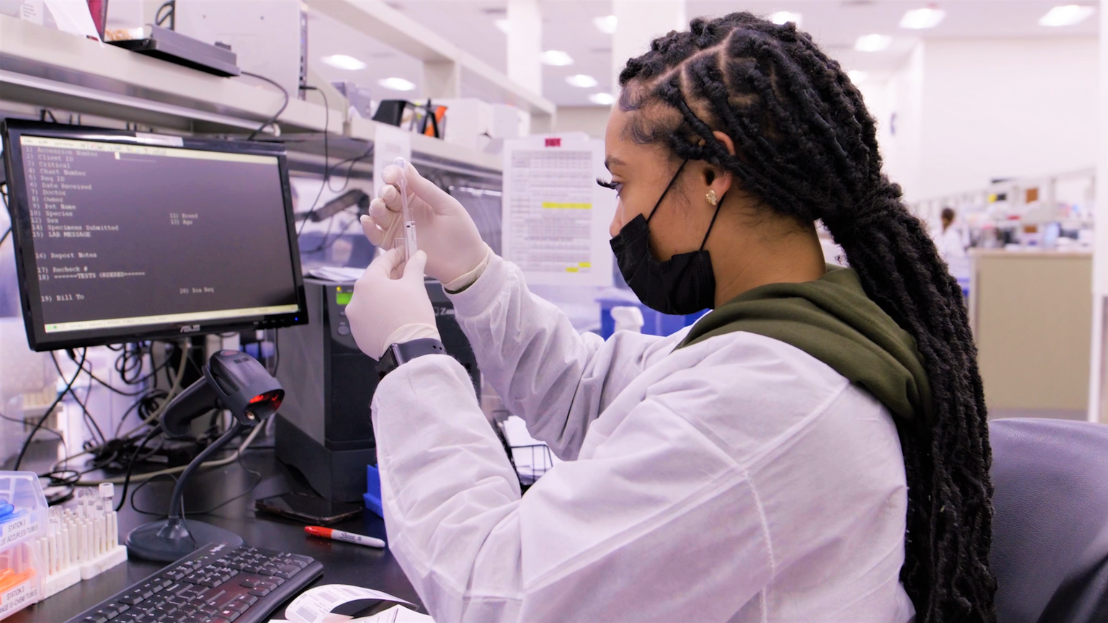 Young Black woman working in a lab