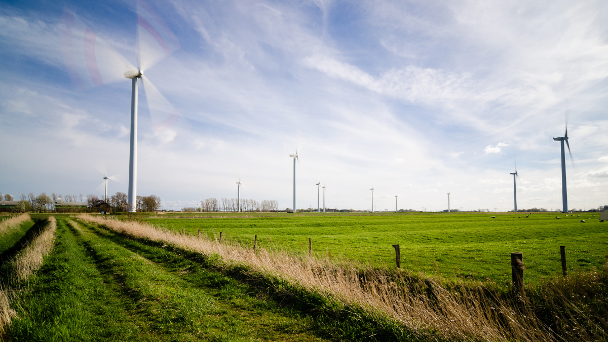 Windmills in a field against a blue sky with clouds