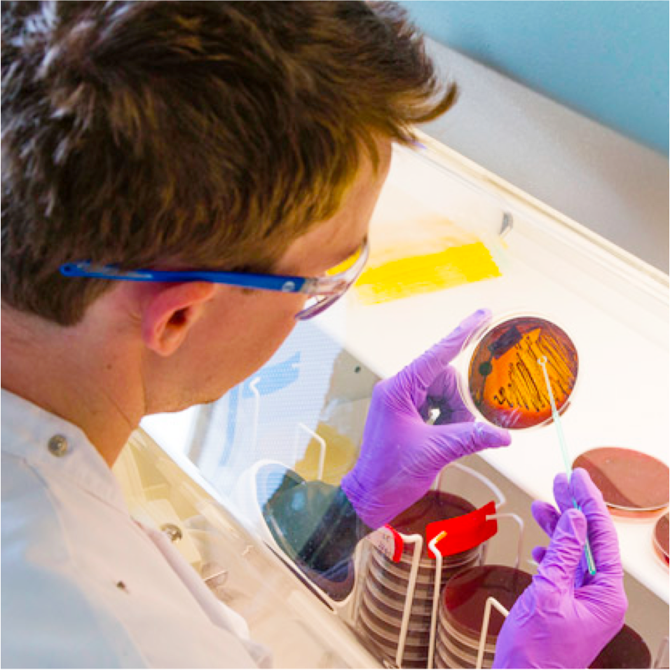 careers fpo image 1