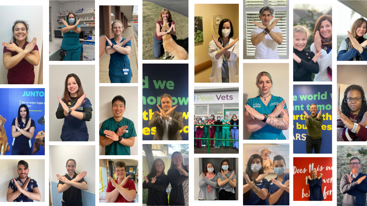 #BreakTheBias on International Women’s Day 2022