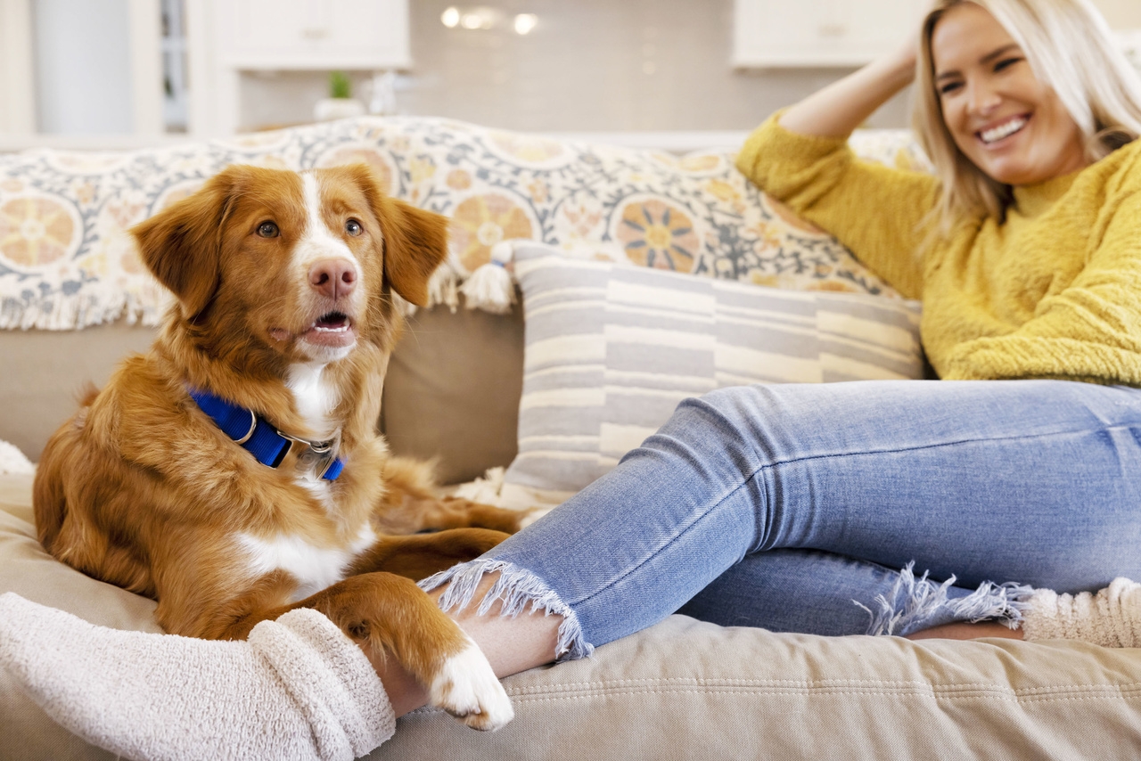 Mars Światowy Dzień Zwierząt