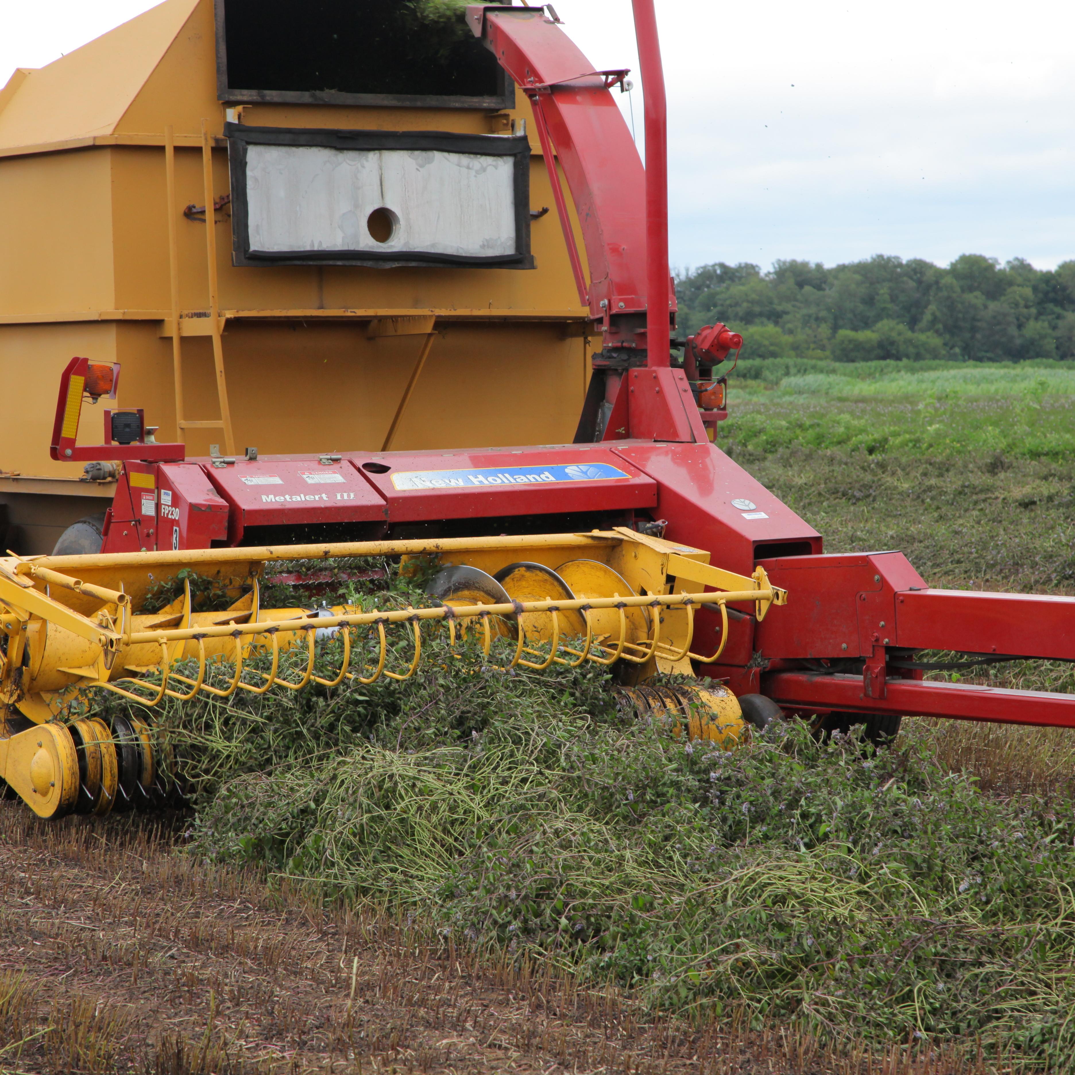 Mint farm machine