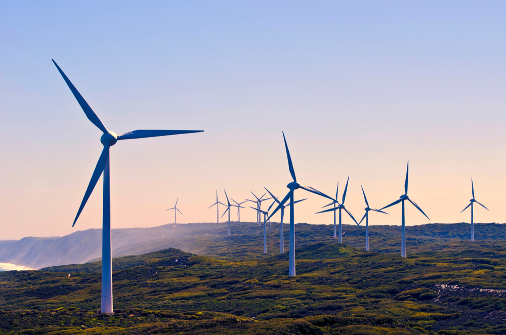 Windfarm Petcare page