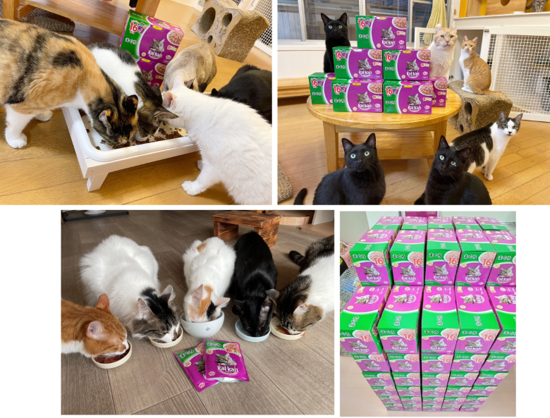 Mars Kalkancampainresult_780