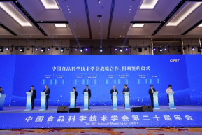 chn_1.png