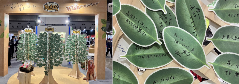 Mars Interpets2024after_HERO