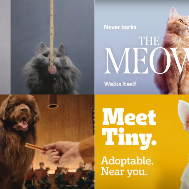 Cannes Lions 2024 winneres