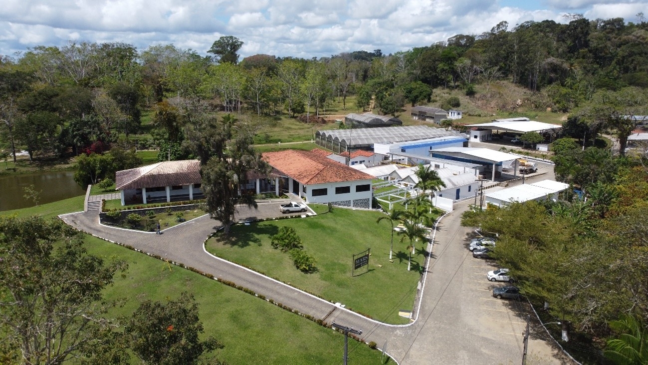 ciência cacau