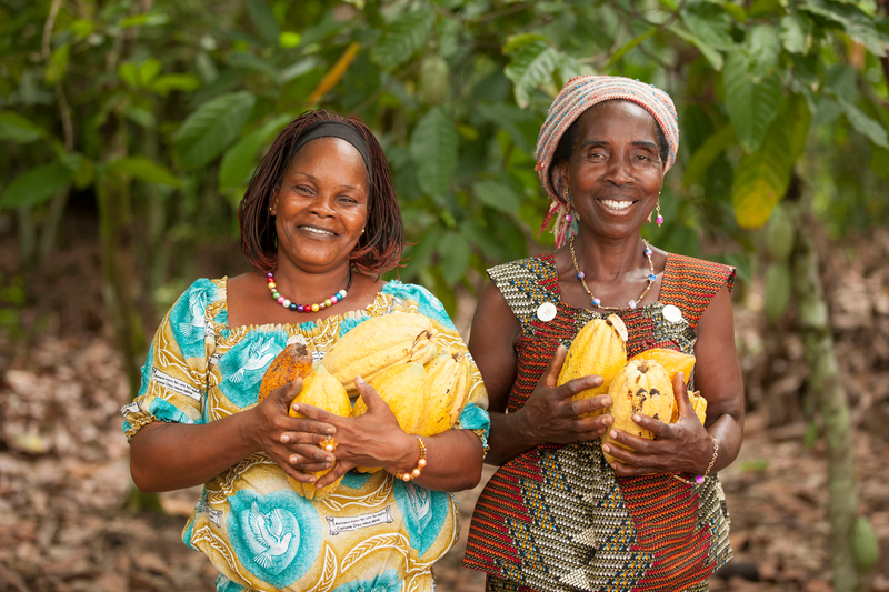 cocoa farmers