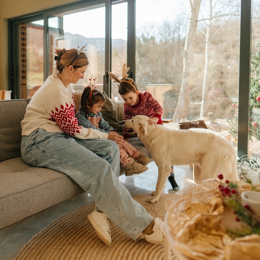 Jak bezpiecznie spędzić święta z pupilem