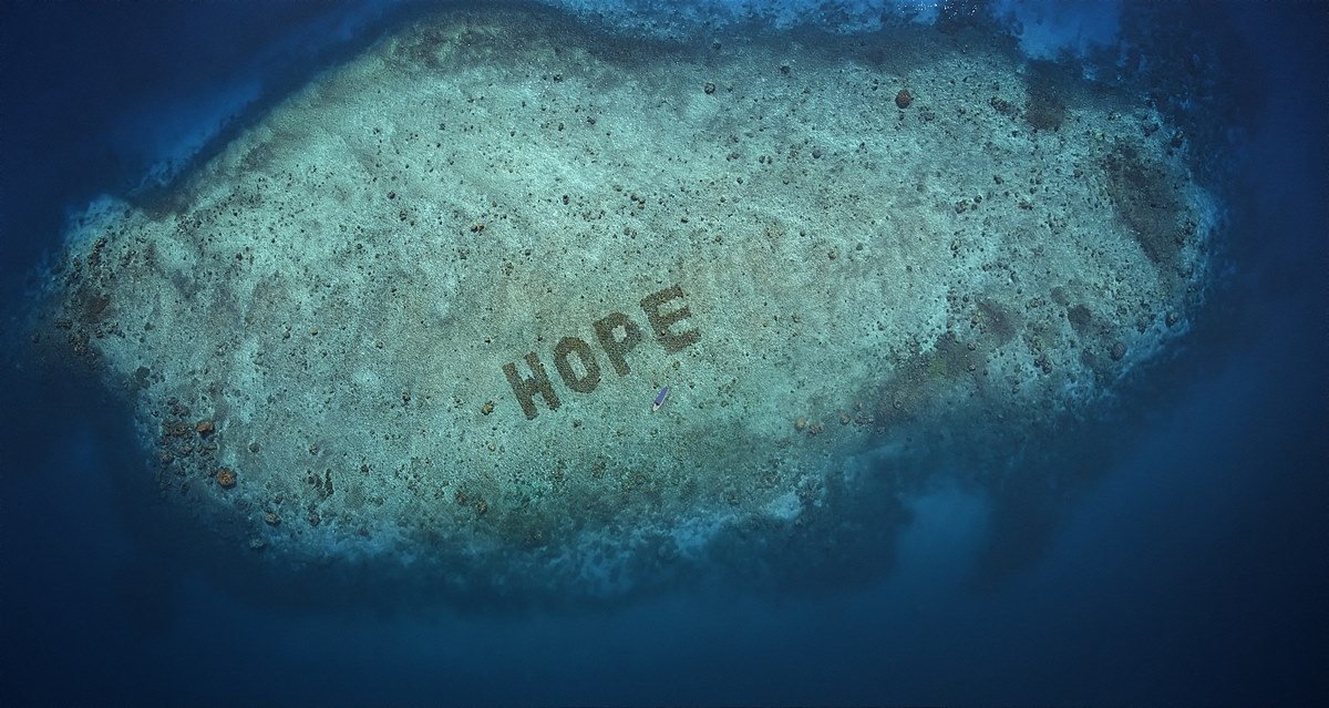 SHEBA® Hope Reef