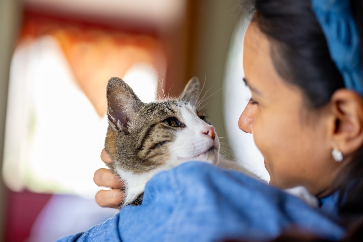 Woman holding her pet cat