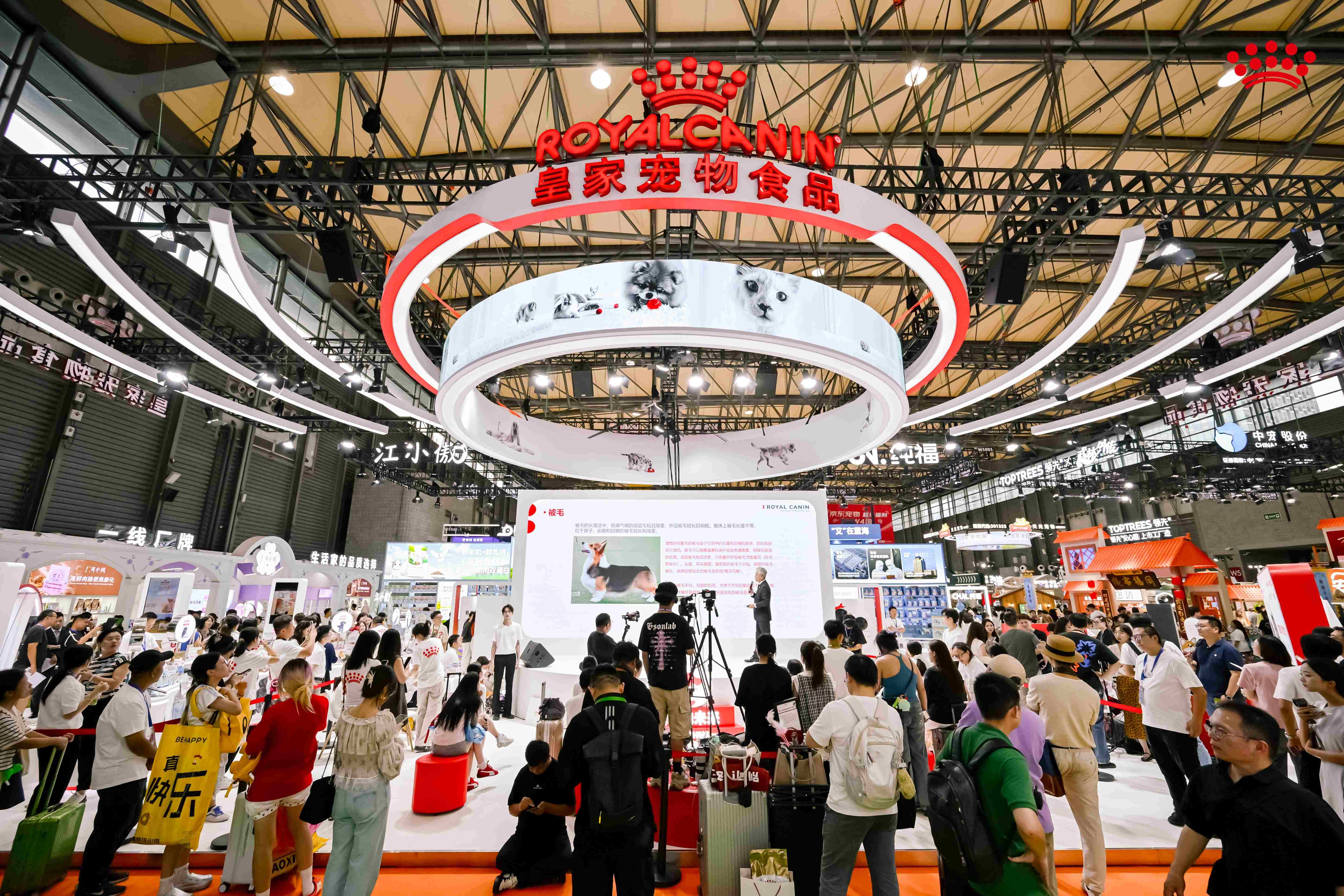 皇家 亚宠展