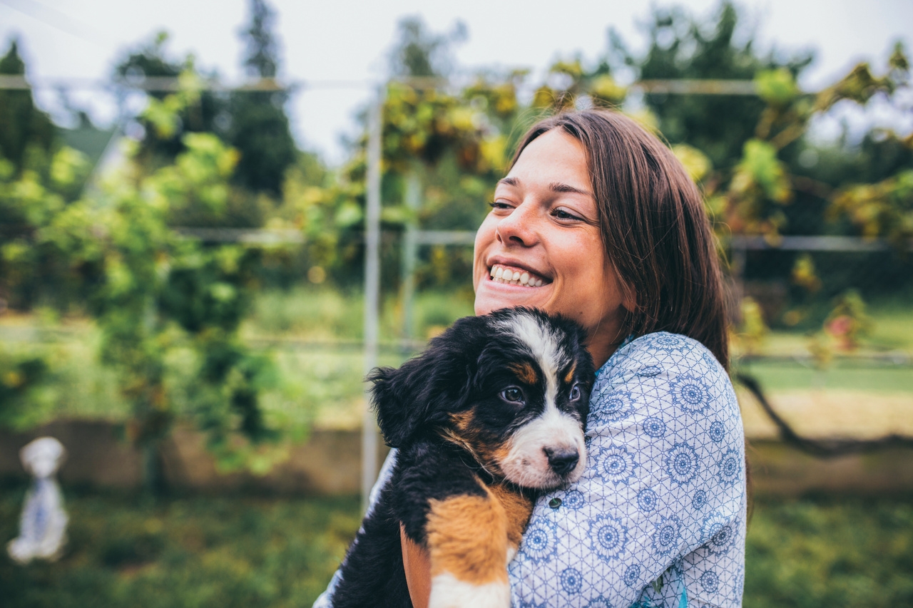 Weekend Adopcji TOZ i Mars Polska: daj miłość, zyskaj miłość 