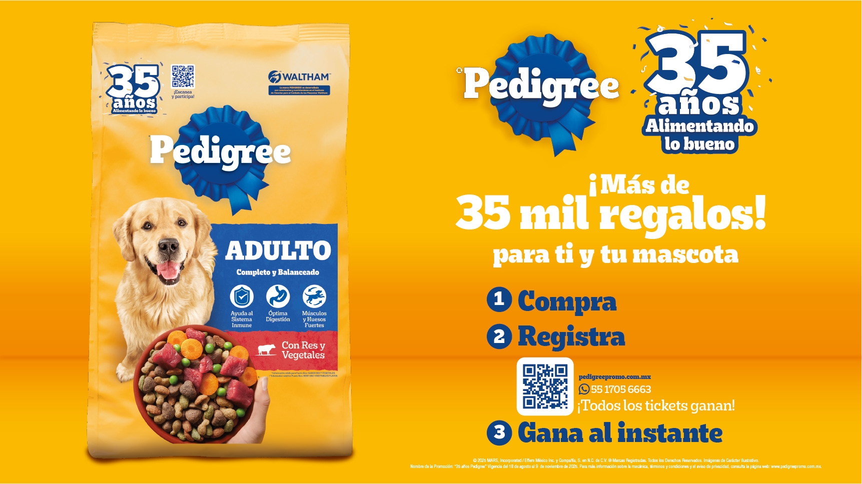 PEDIGREE MEXICO KV 35 años