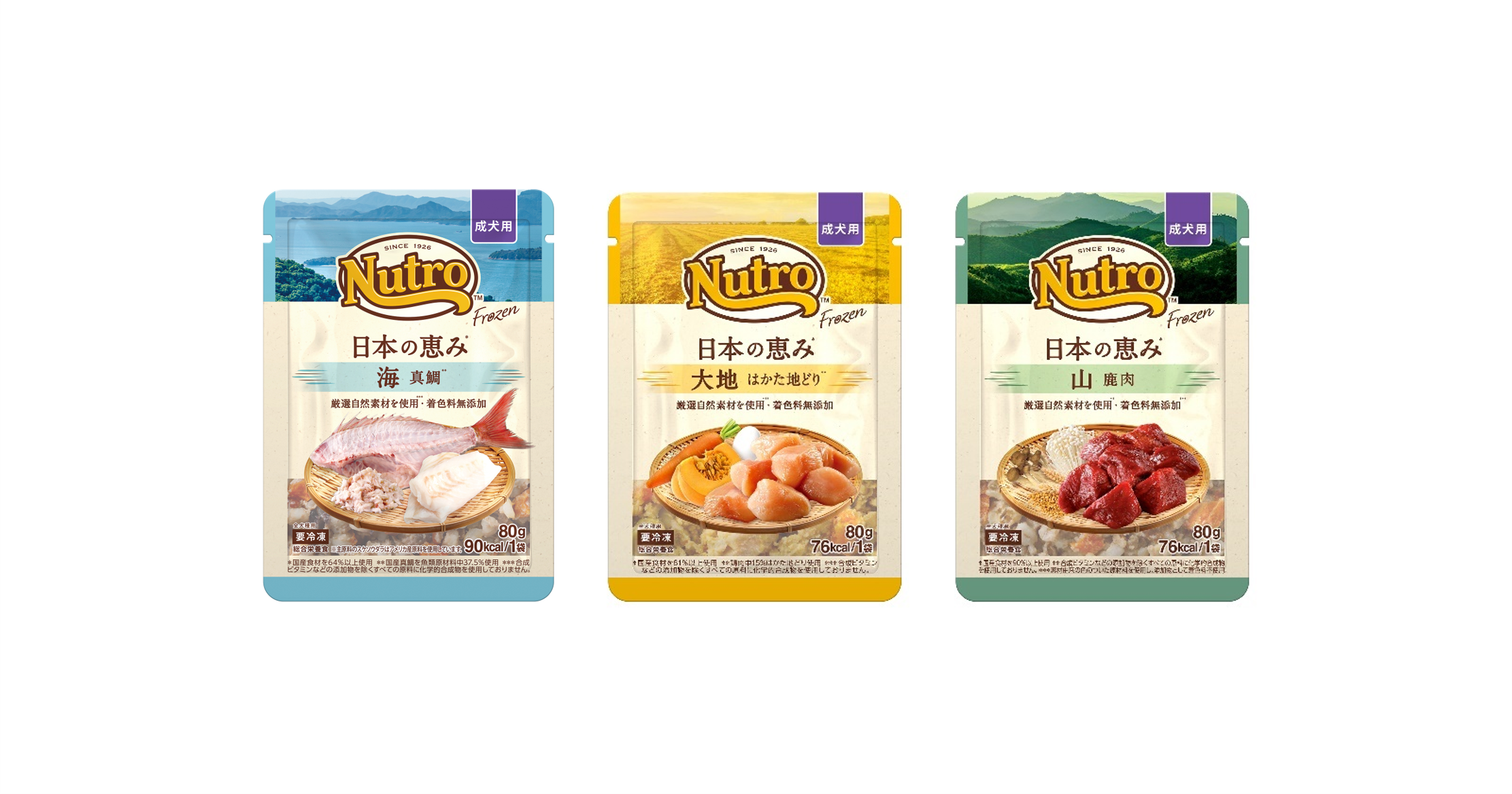 Nutro-Frozen-DogFood 20250904_HERO_repl