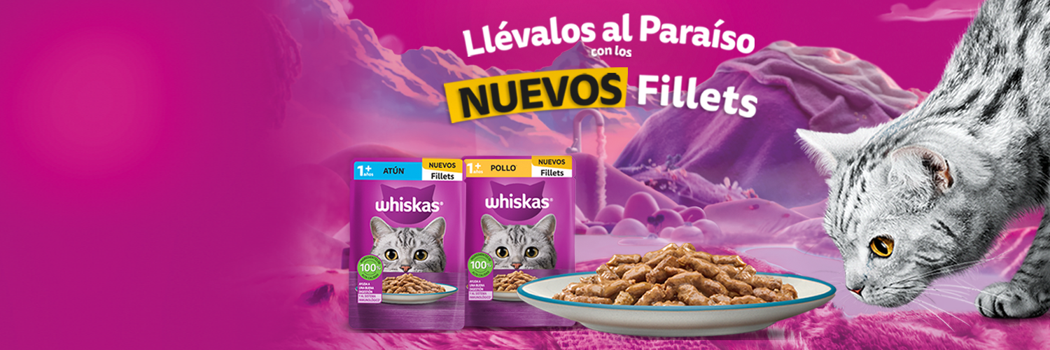 NOVA FILLETS 2026 MX