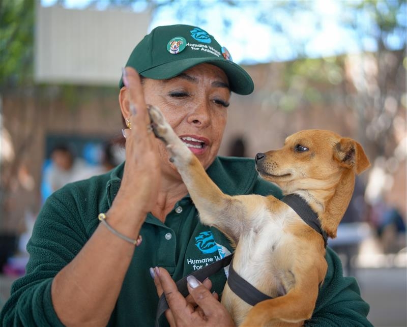 MARS IMPACT FUND MEXICO 2026