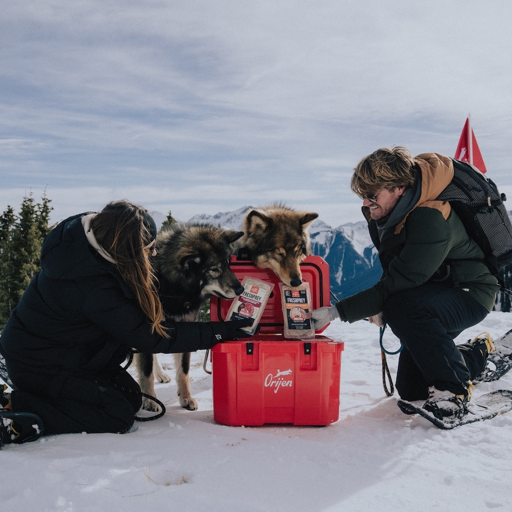 Wander with Willow and their dogs, Gryffin and Luke, on an expedition into the Red Mountains with ORIJEN