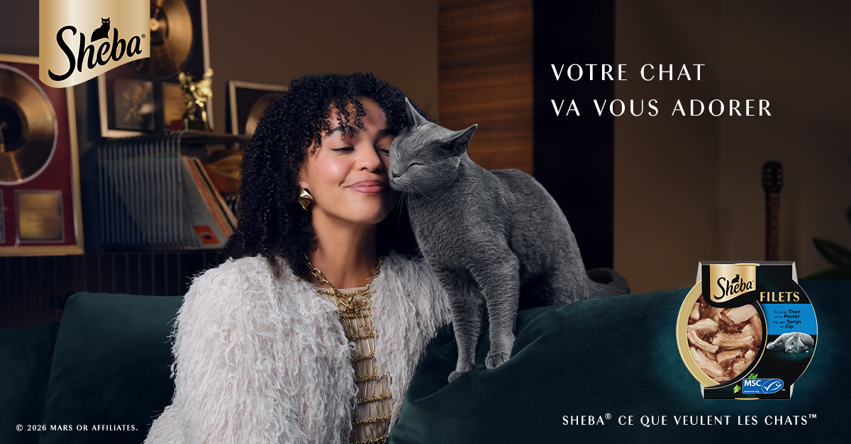 Sheba, votre chat va vous adorer