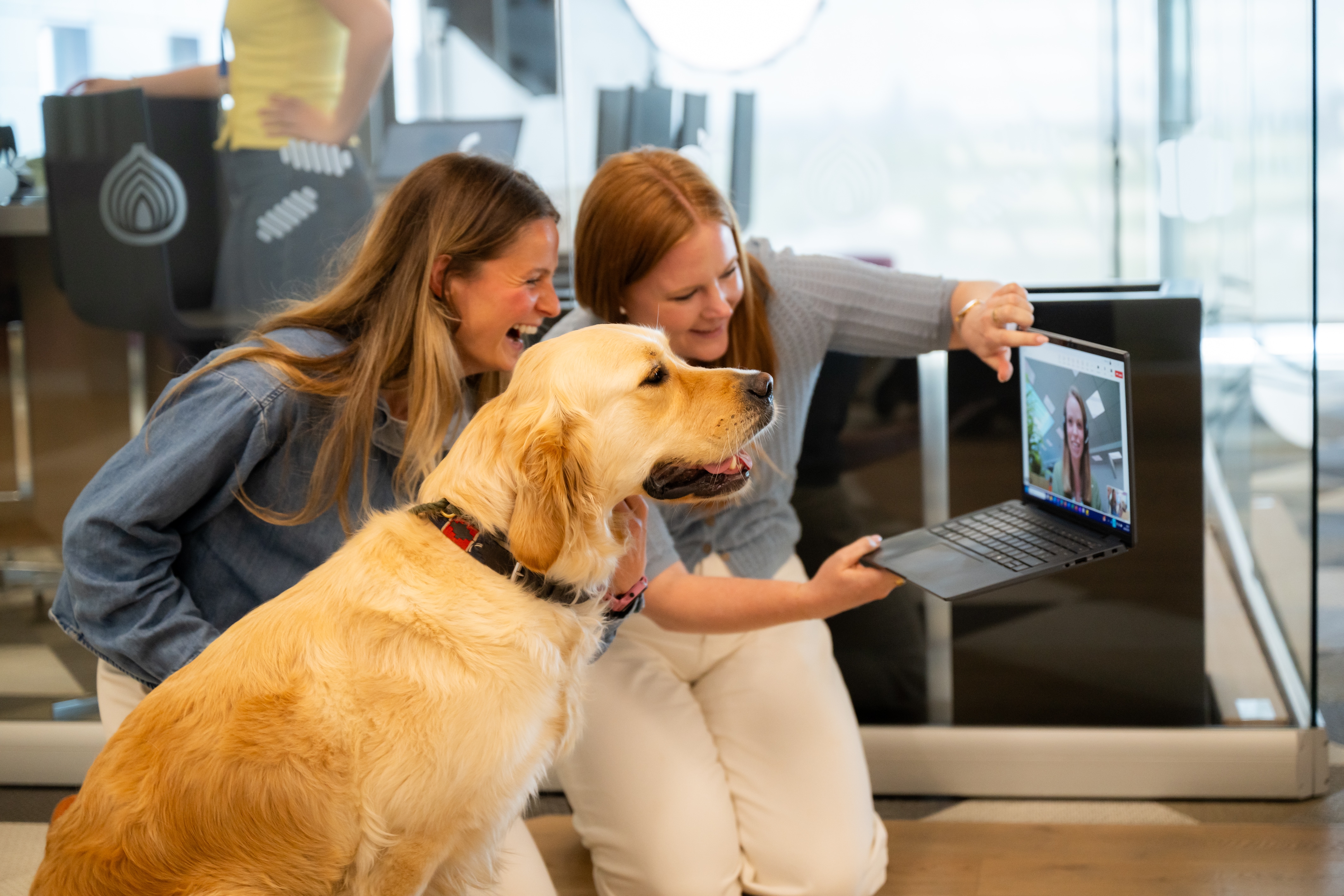 Zwei Frauen und ein Hund betachten einen Video-Chat im Laptop