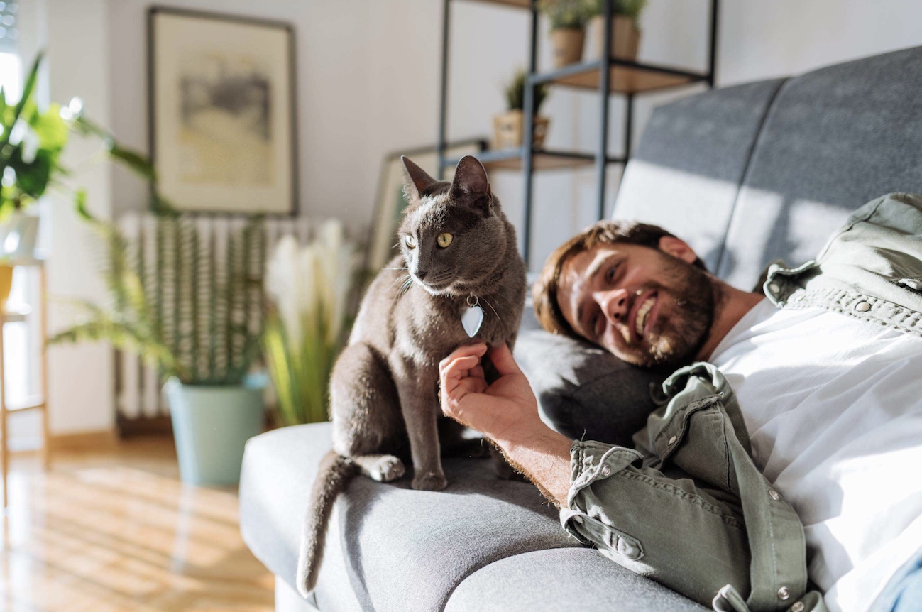 Picture of a young man who caresses a cat while lying on the sofa