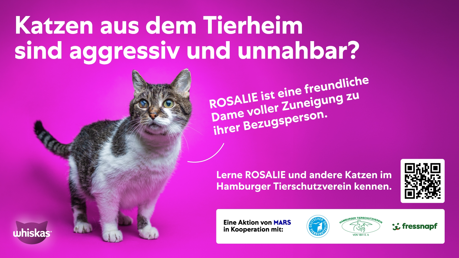 Mars_Wrigley_Studie_Adoption_Tierheimtiere