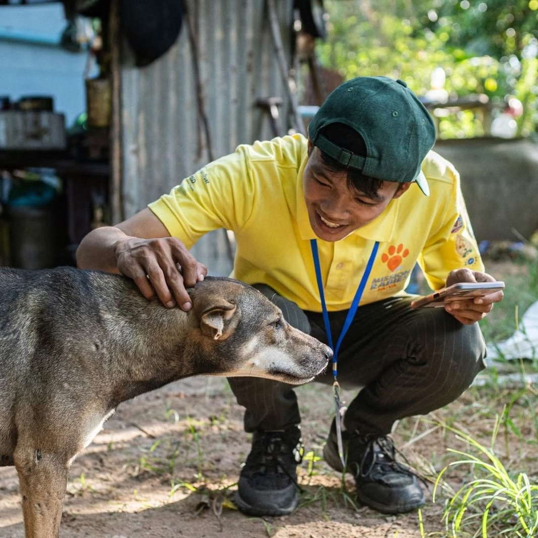 A Worldwide Veterinary Service volunteer crouching down to pet a dog.