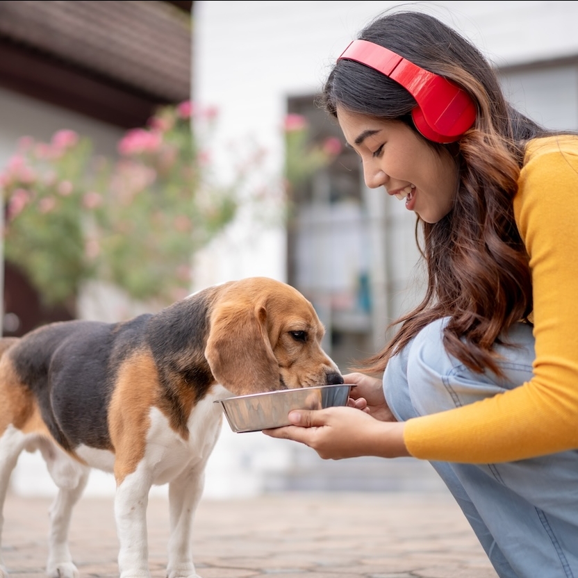 A woman feeding a dog from a bowl.