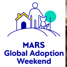 20261009-mars-global-adoption-weekend-2026-report HERO