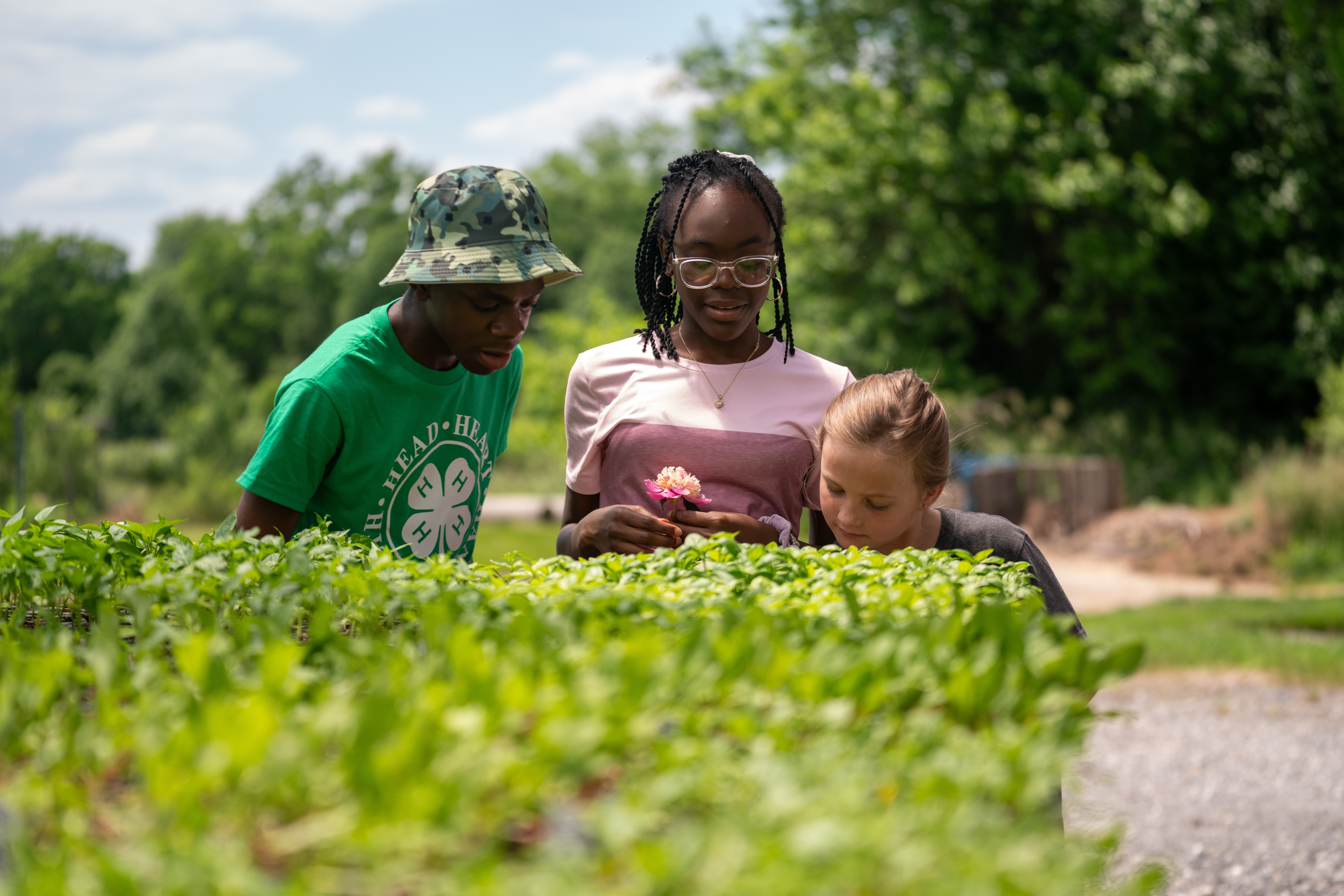 Kids looking at plants