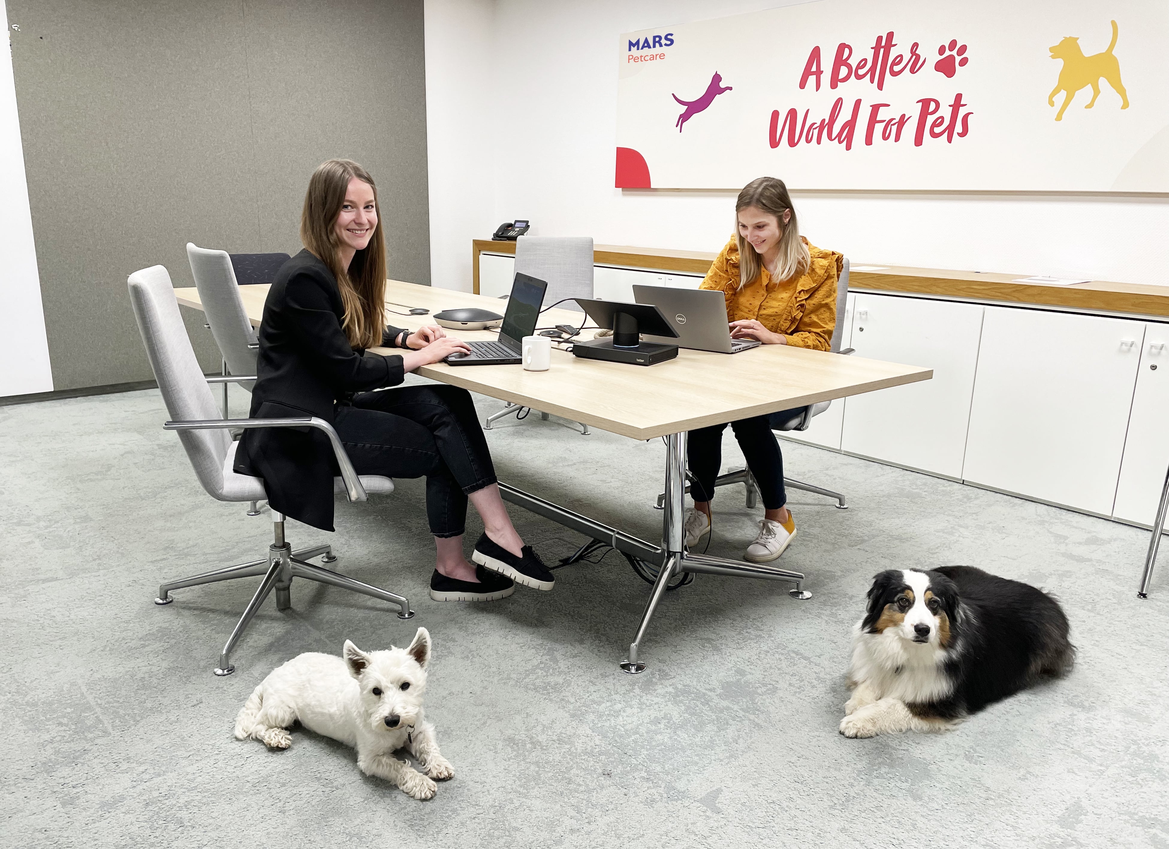 Mars_Petcare_Kollege_Hund_Higgins Flora