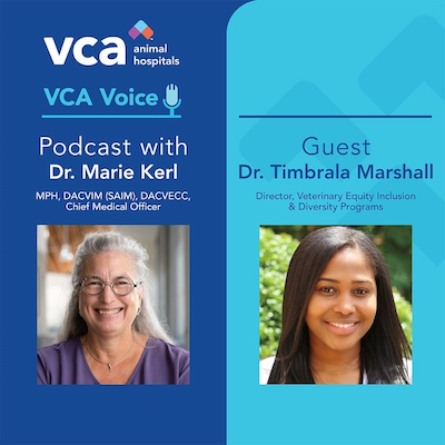 VCA Voice: A Veterinary Podcast Cover