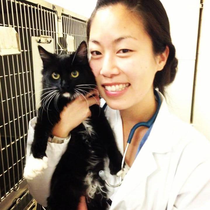 Dr. Lillian Wong photo