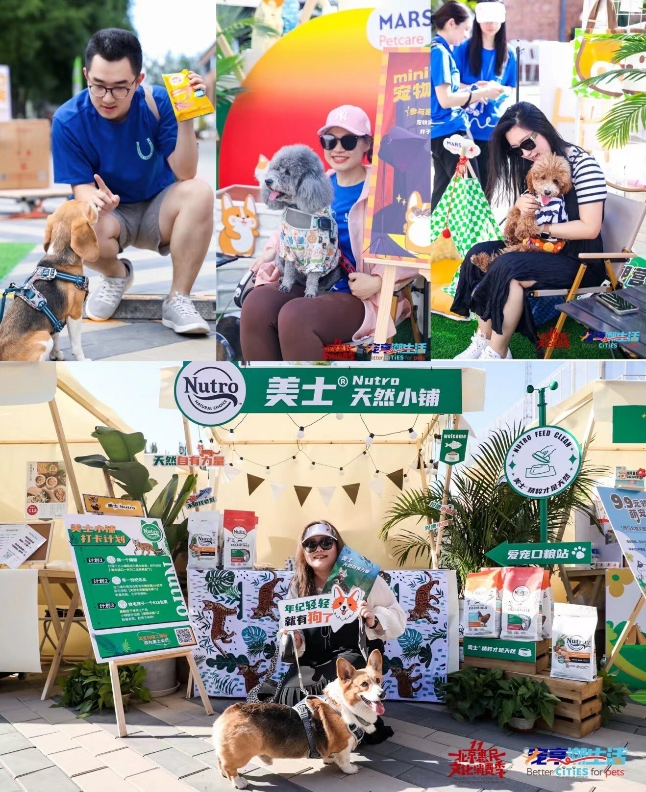 petfair.jpg