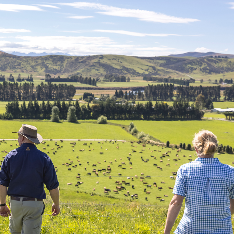Dairy farmers in field