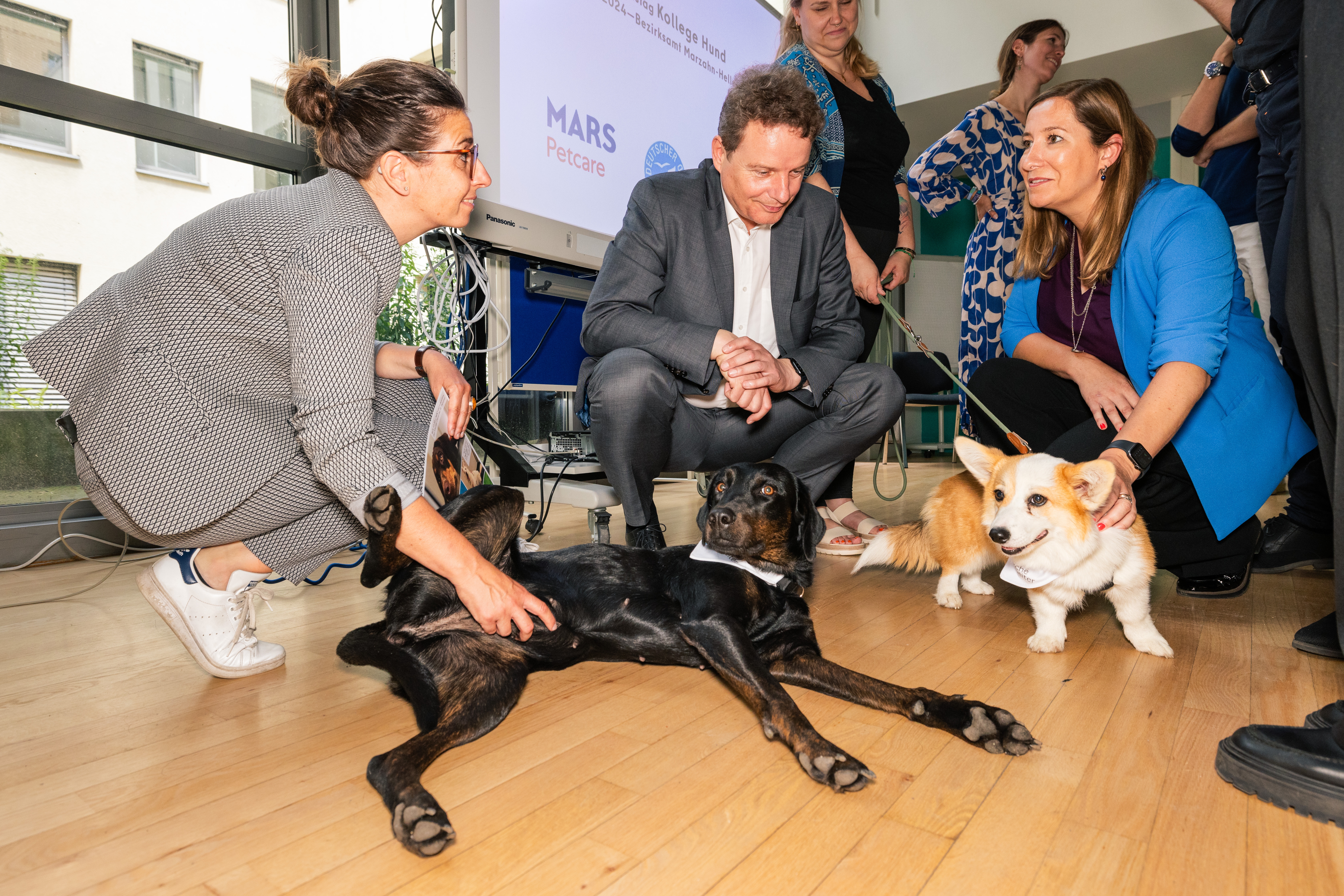 Mars_Petcare_PM_Kollege_Hund_Bild_1