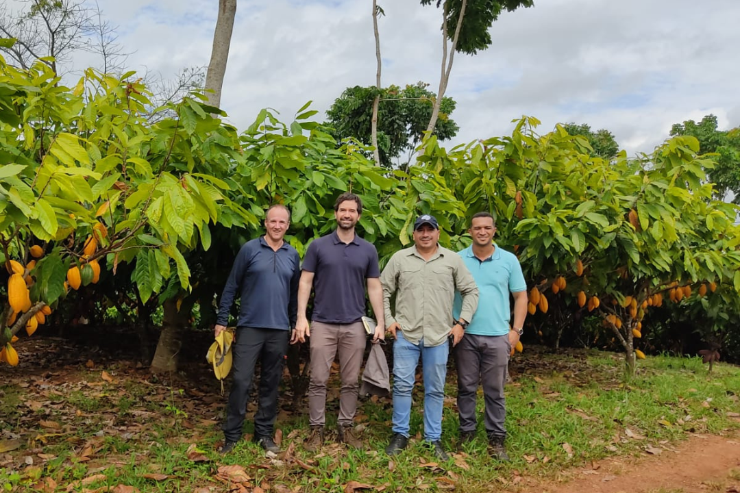 Cocoa team on the plantation