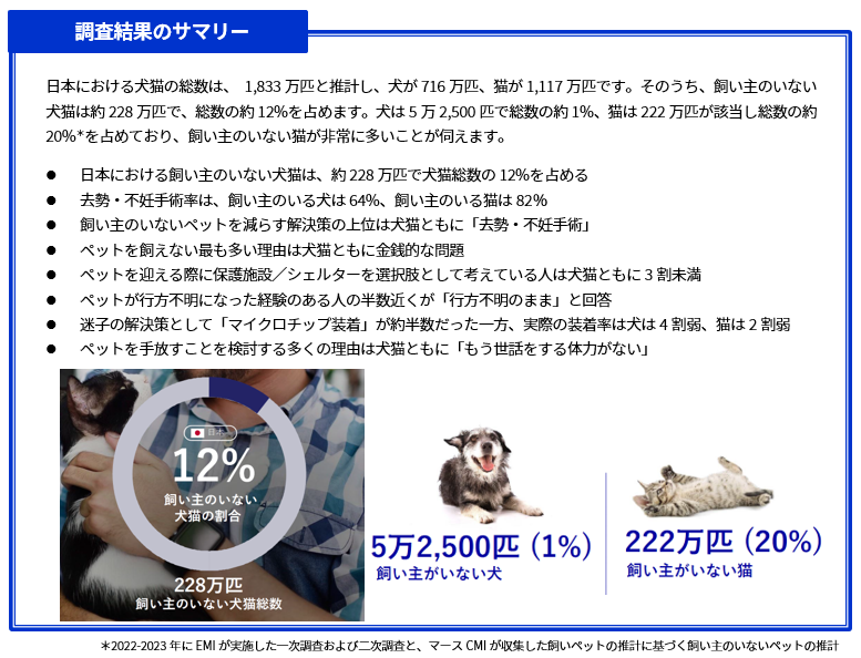 調査結果のサマリー Table