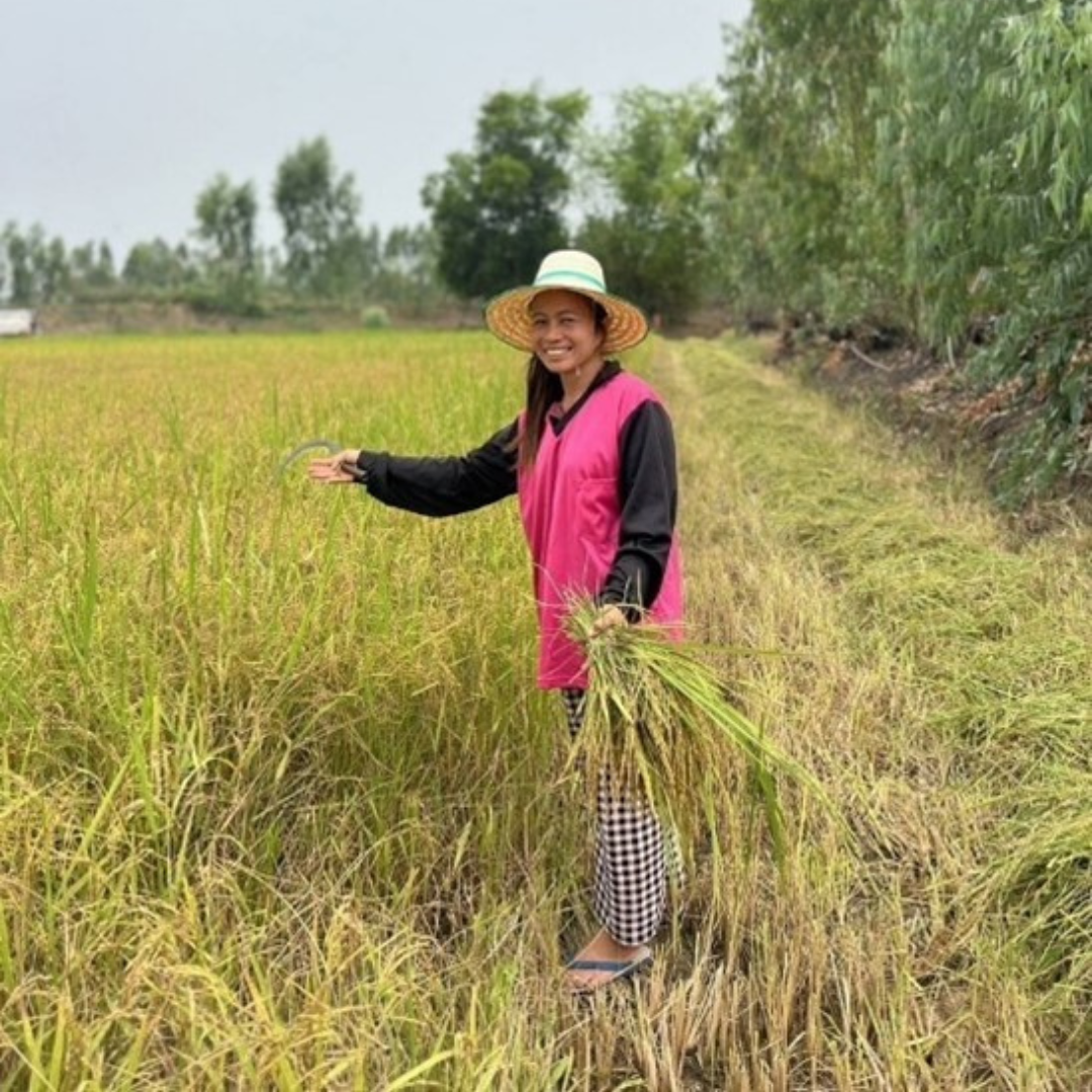 Rice farmer Jularak