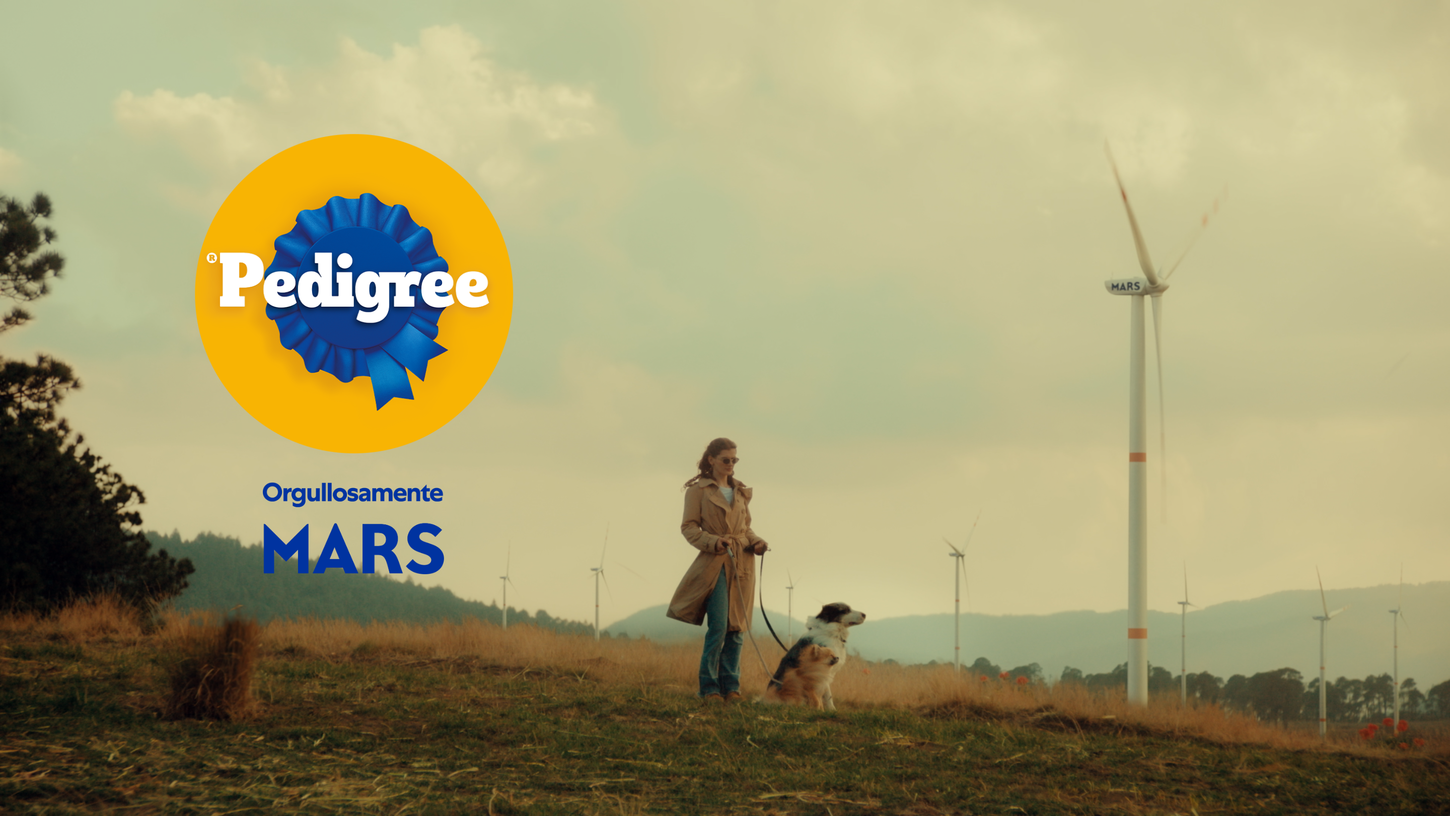 Pedigree wind