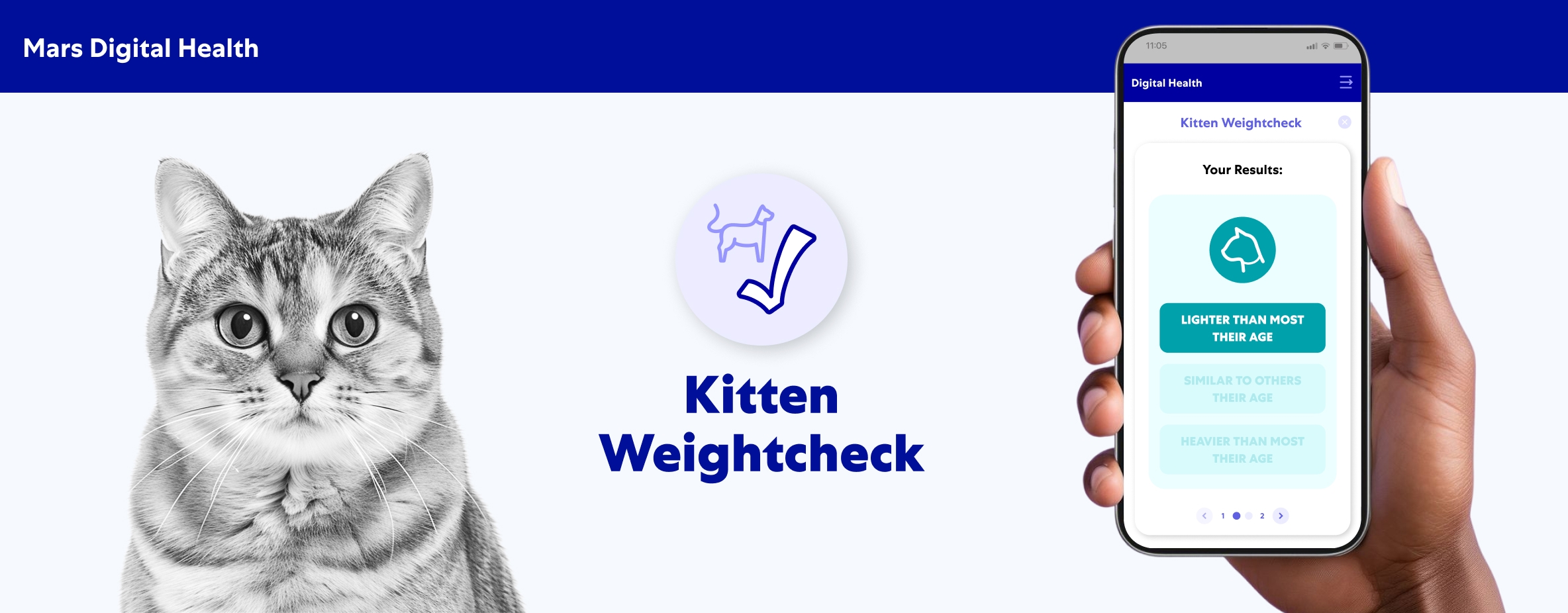 Kitten Weightcheck