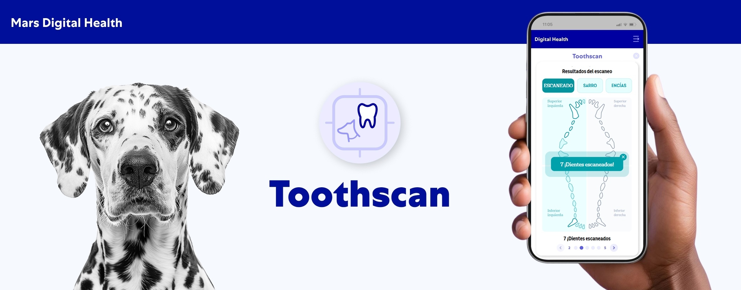 Toothscan Masthead